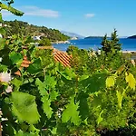 Ivi Appartement