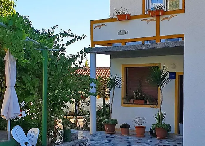 Ivi *